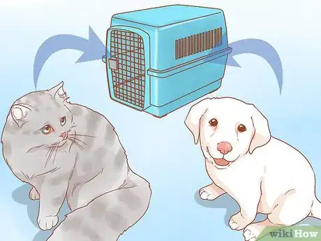 Imagen titulada Introduce a New Puppy to the Resident Cat Step 2