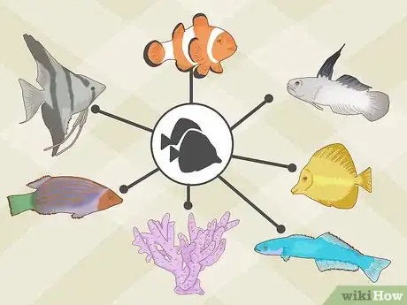 Imagen titulada Care for a Clown Fish Step 17