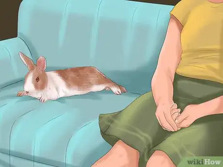 Imagen titulada Raise a Lop Eared Rabbit As a Pet Step 16