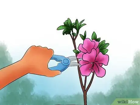 Imagen titulada Care for Azaleas Step 10