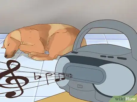 Imagen titulada Comfort Your Sick Dog Step 5