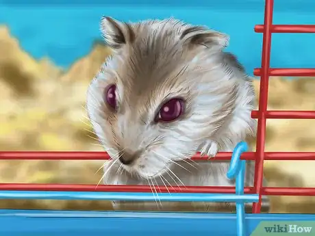 Imagen titulada Create a Bond With Your Hamster Step 4