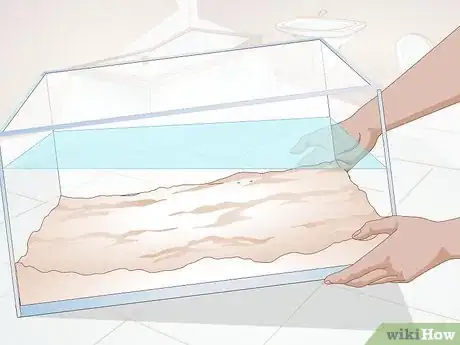Imagen titulada Clean a Turtle Tank Step 4