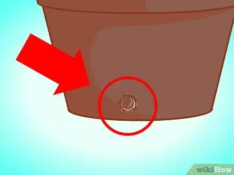 Imagen titulada Transplant a Jade Plant Step 3
