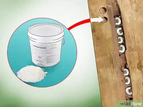 Imagen titulada Get Rid of Carpenter Bees Step 12