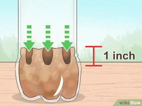 Imagen titulada Create an Ecosystem in a Bottle Step 3