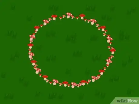 Imagen titulada Catch a Leprechaun Step 11