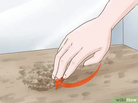 Imagen titulada Clean a Fish Tank With Sand Step 7