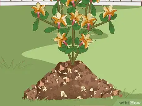 Imagen titulada Plant Azaleas Step 7