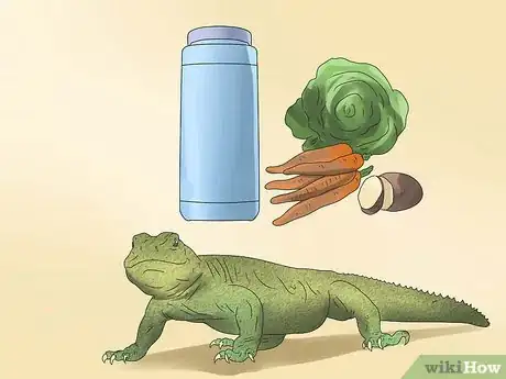 Imagen titulada Feed a Lizard Step 14