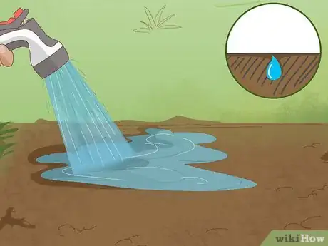 Imagen titulada Plant Azaleas Step 3