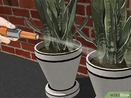 Imagen titulada Transplant a Plant Step 1