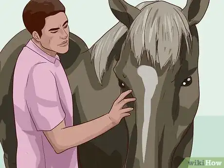 Imagen titulada Break a Horse Step 1