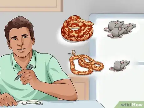 Imagen titulada Feed a Snake Step 8
