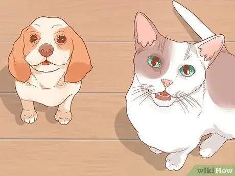 Imagen titulada Introduce a New Puppy to the Resident Cat Step 7