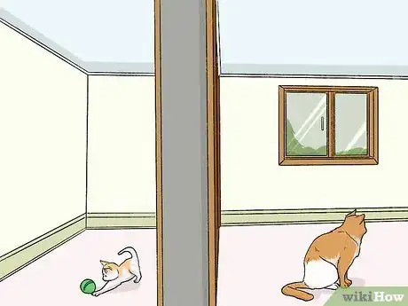Imagen titulada Stop an Older Cat from Attacking a Kitten Step 7