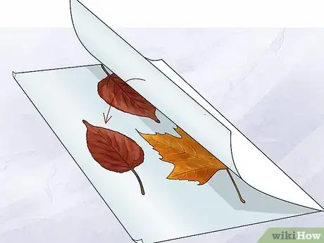 Imagen titulada Preserve Fall Leaves Step 19