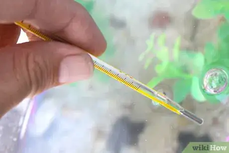 Imagen titulada Clean a Small Fishtank Step 16