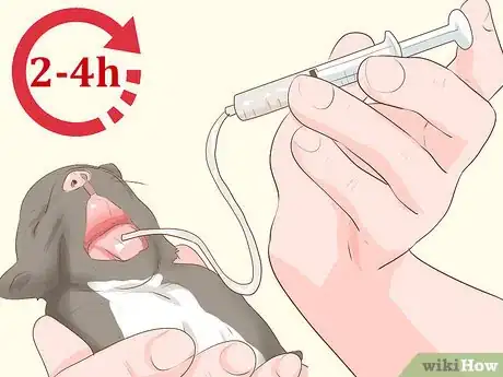 Imagen titulada Save a Newborn Puppy with a Cleft Palate Step 13