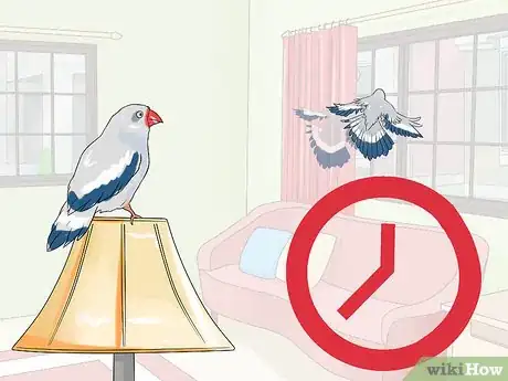 Imagen titulada Chase a Bird out of an Enclosed Porch or a House Step 6