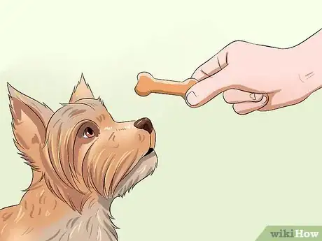 Imagen titulada Teach Your Dog to Speak Step 13
