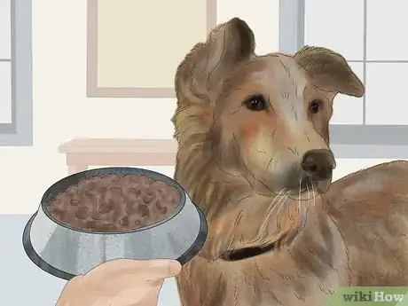 Imagen titulada Treat a Dog for Rabies Step 15