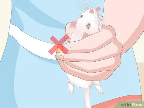 Imagen titulada Handle a Pet Rat Step 11