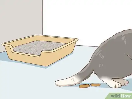 Imagen titulada Tell if Your Cat Is Depressed Step 9