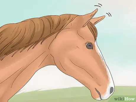 Imagen titulada Talk to Your Horse Step 13