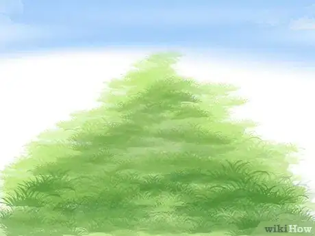 Imagen titulada Plant a Lawn from Stolons Step 13