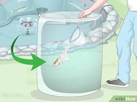 Imagen titulada Raise Koi Step 12