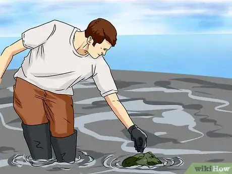 Imagen titulada Read Tide Tables Step 12