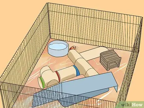 Imagen titulada Care for a Hamster Step 24