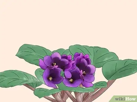 Imagen titulada Grow Plants With Grow Lights Step 1