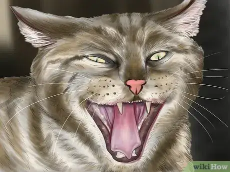 Imagen titulada Approach a Stray Cat Step 6