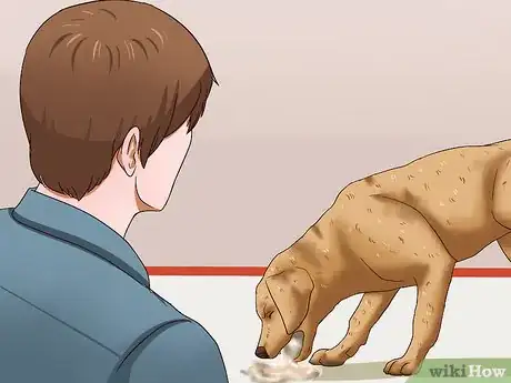 Imagen titulada Identify Different Dog Worms Step 2