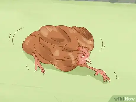 Imagen titulada Tell if a Chicken is Sick Step 20
