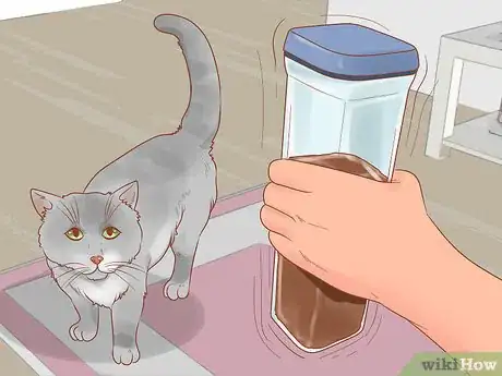 Imagen titulada Choose a Lap Cat Step 9