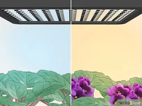 Imagen titulada Grow Plants With Grow Lights Step 2