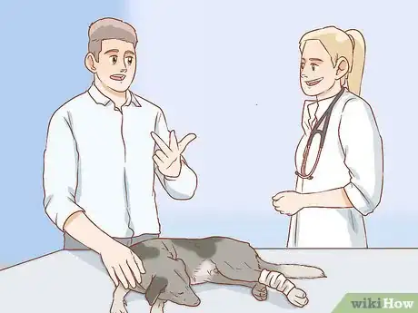 Imagen titulada Help a Dog Recover from a Broken Leg Step 7