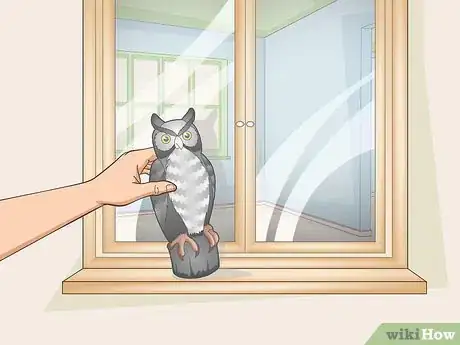 Imagen titulada Stop Birds from Attacking Windows Step 9