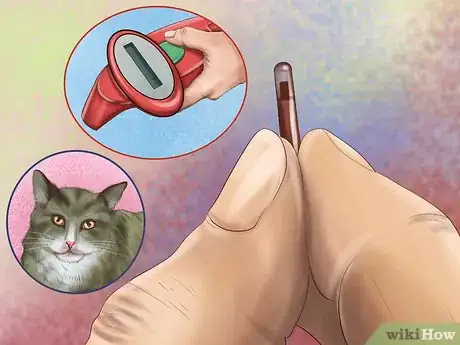 Imagen titulada Approach a Stray Cat Step 5