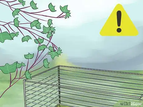 Imagen titulada Avoid Poisoning Your Guinea Pig Step 6
