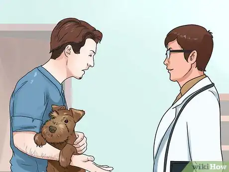 Imagen titulada Help Your Dog Whelp or Deliver Puppies Step 1