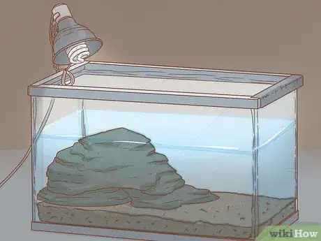 Imagen titulada Care for Turtles Step 5