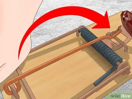 Imagen titulada Kill Woodrats Step 4