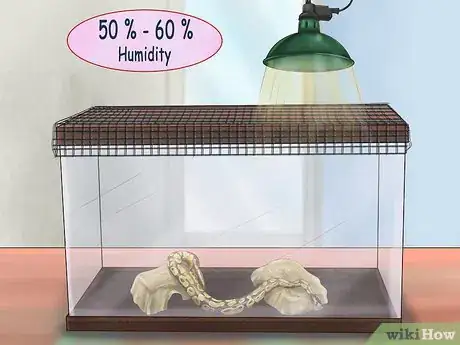 Imagen titulada Care for Your Ball Python Step 12