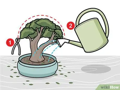 Imagen titulada Prune a Bonsai Tree Step 12