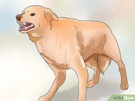 Imagen titulada Stop Aggressive Behavior in Dogs Step 15