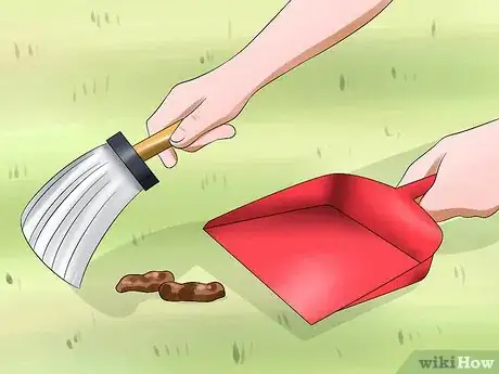 Imagen titulada Treat Feline Panleukopenia (Distemper) Step 17